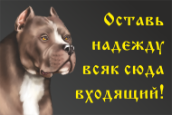 Табличка «Оставь надежду всяк сюда входящий» питбуль